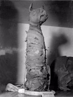 Múmia de um gato : Museu Nacional (RJ)
