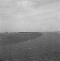 Lavrado, campo limpo, queimado e sem queimar, nos campos do rio Branco, visto da BR-174 ao sul de Boa Vista