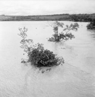 Rio Guareí, cheio : Município de Angatuba (SP)