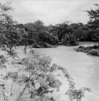 Ângulo da ponte destruída pela enchente do Rio Guareí : aparece a vegetação : Município de Angatuba (SP)