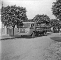 Caminhão carregado de bananas, na cidade de Nhandeara (SP)