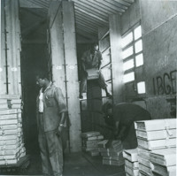 Censo de 1960 : funcionários do IBGE retiram as pastas do censo para posterior trituração dos questionários