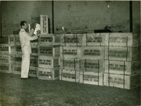 Censo de 1950 : chegada de 565 caixas com material do recenseameno no 2º Armazém do Estado da Bahia