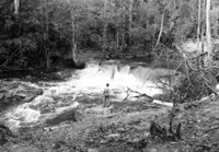 Cachoeira de Tarumã sobre arenito ao norte de Manaus : Município de Manaus