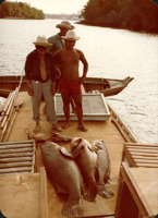 Pescadores : Rio Cururupu : Cururupu, MA