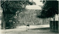 Jardim Zoobotânico : Paulista, PE