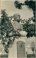 Busto do Professor Victor do Amaral : Curitiba, PR