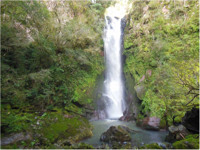 Cachoeira Arroio Pintado : Gramado Xavier, RS
