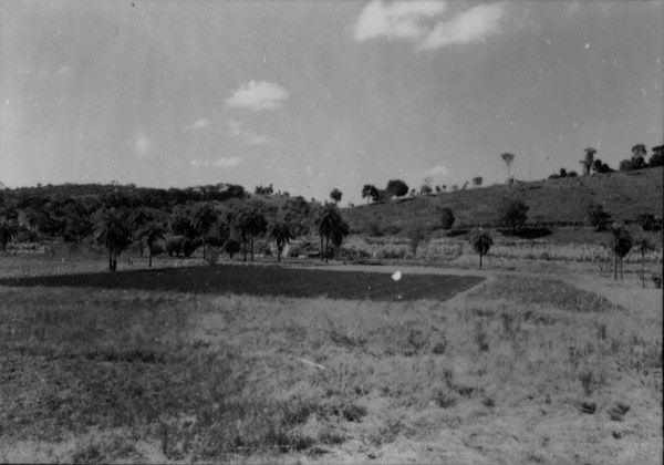 Plantações na cidade de Vespasiano (MG) - 1958