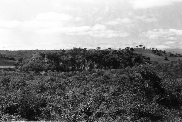 Vegetação da Gruta da Lagoa Vermelha em Lagoa Santa (MG) - 1958