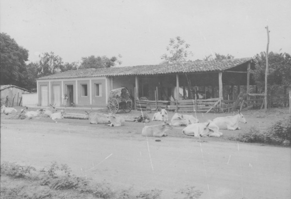 Casa com estábulo em Várzea Grande (MT) - 1955