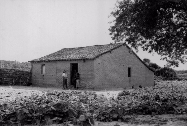 Plantação de mandioca em Francisco Santos (PI) - 1957