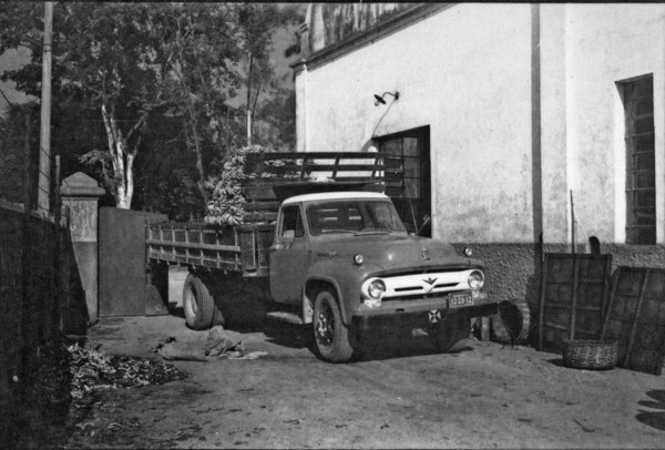 Caminhões descarregando banana e goiaba provenientes do município de Rio Bonito (RJ) - 1958