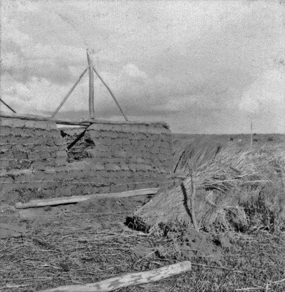 Aspecto parcial da casa de torrão perto de Lavras (RS) - 1959