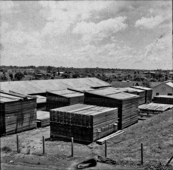 Depósito de madeira com destino a Argentina (SC) - 1966