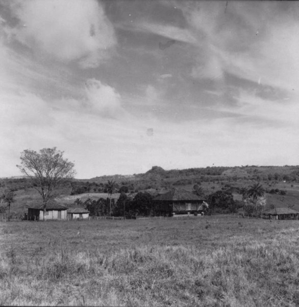 Mata, pasto e agricultura, no município de Cajuru (SP) - 1957