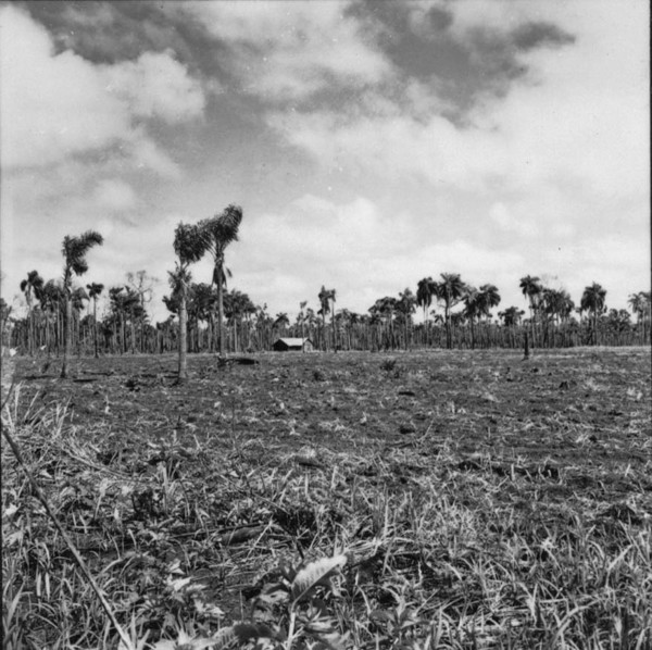 Ocupação do solo : Município de Itaí (SP) - 1957