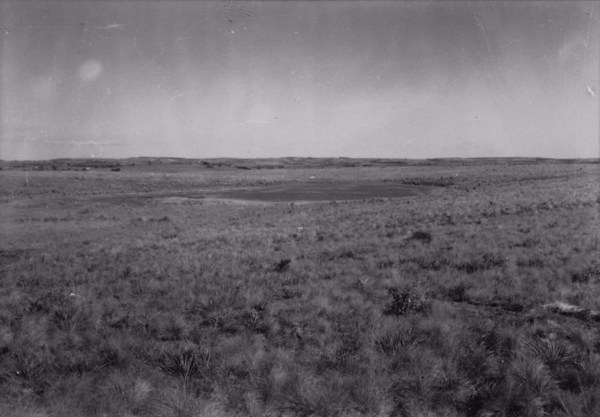 Município de Itapetininga : Depressão fechada na superfície plana. A vegetação de campo limpo (SP) - 1958
