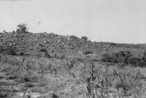 Blocos graníticos da estrada entre Indaiatuba e Campinas : município de Indaiatuba e Campinas : altura 625 metros : município de Indaiatuba (SP) - 1958