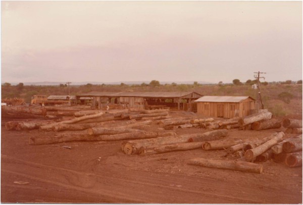Indústria madeireira : Iaciara, GO - 1983